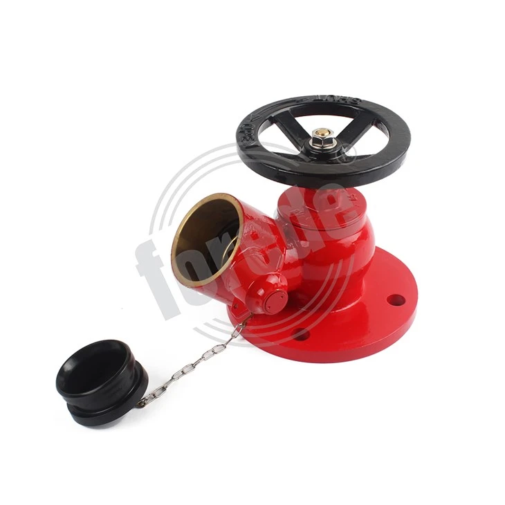 Landing Valve in Fire Fighting System