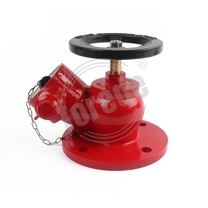 Landing Valve in Fire Fighting System