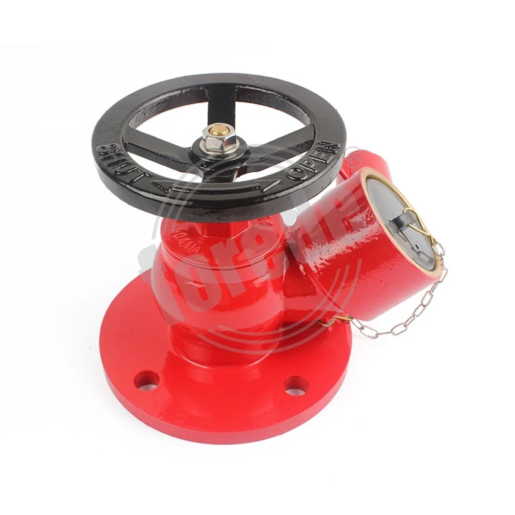 Landing Valve in Fire Fighting System