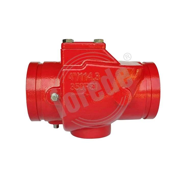Grooved End Check Valve price