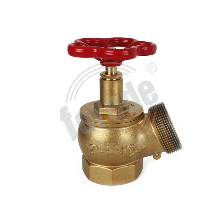 Oblique Fire Landing Valve factory