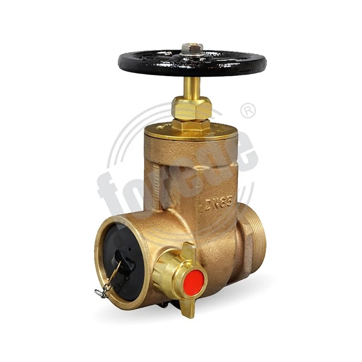 Landing Gate Valve