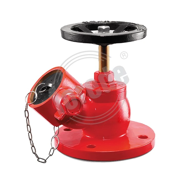 Landing Valve in Fire Fighting System